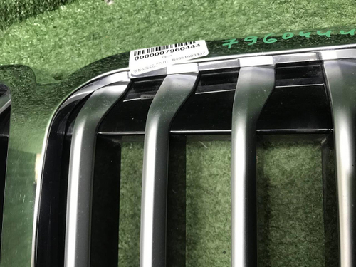 Решетка радиатора BMW X7 G07 (2019-2022)