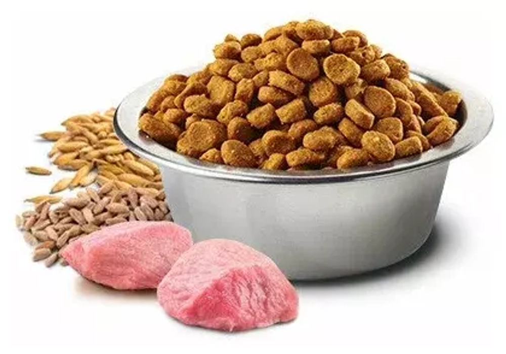 FARMINA N&D Ancestral Grain Сухой корм для взрослых кошек Ягненок,спельта,овес и черника, 300 гр