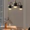 Потолочная люстра Imperium Loft Natura 178081-26