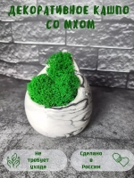 Декоративное кашпо капля из гипса со мхом