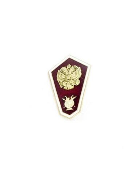 Значок гробик Среднее образование искусство и культура (с лирой)