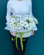 Корзина с цветами(00489)