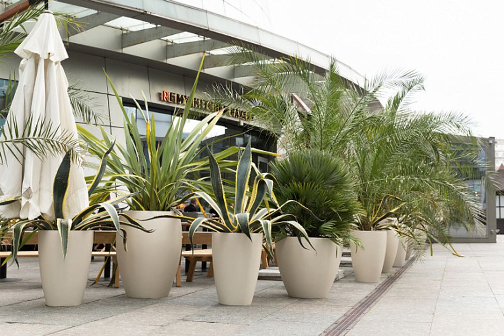 Кашпо UPON SAHARA