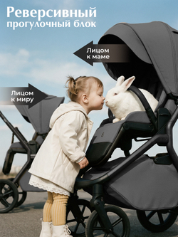Sweet Baby Коляска 2 в 1 SBL Dark Grey