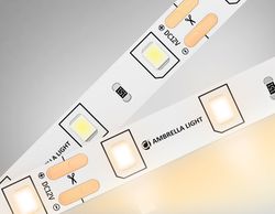 Ambrella Светодиодная лента Ambrella Light GS1001 2835 60Led /4.8W m/ 12V IP20 3000K 5m /кратность резки 50mm LED Strip 12V GS1001
