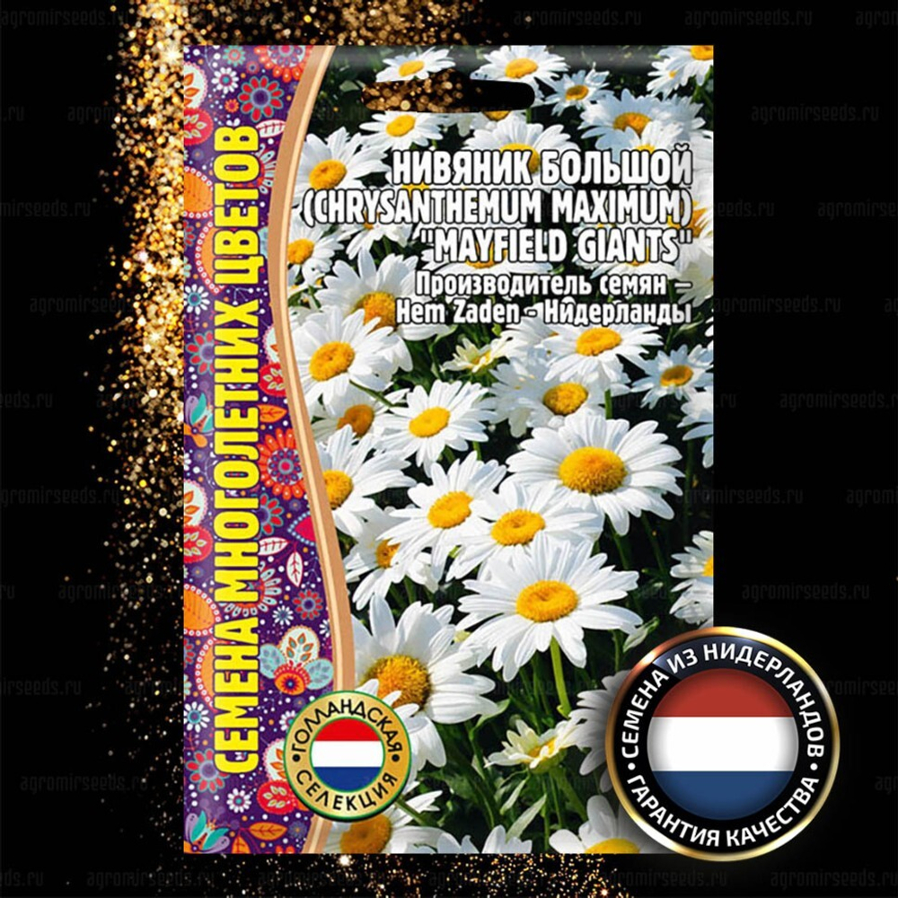 Нивяник большой Mayfield Giants