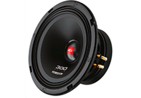 Акустика ACV