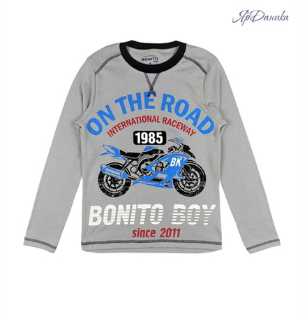 Лонгслив Bonito  серый, мотоцикл On the road