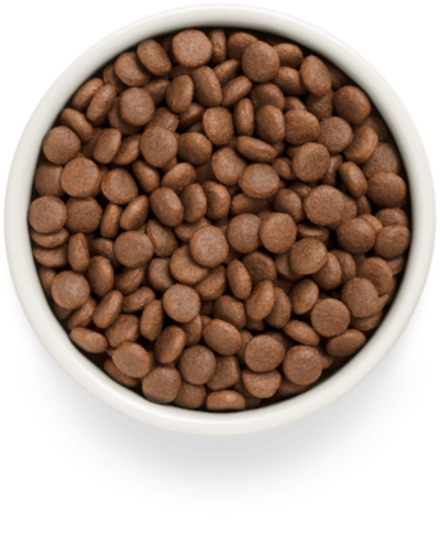 Grandorf Fresh Dog Potato корм сухой беззерновой для собак средних и крупных пород лосось,батат