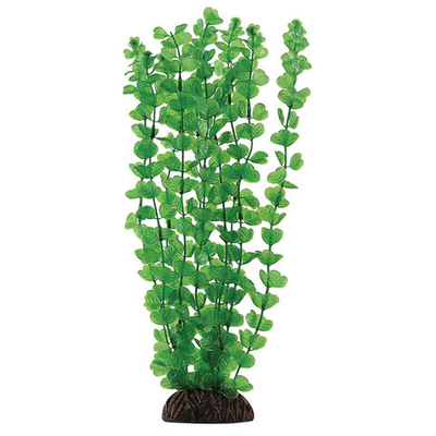 Растение "Бакопа", зеленое, 300мм, Laguna AQUA