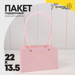 Пакет подарочный 22х13,5х10,5 Ваза для цветов (Розовый)