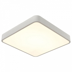 Накладной светильник Arte Lamp A2663PL-1WH