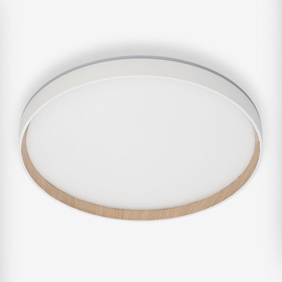 Потолочный светодиодный светильник Citilux Etalon CL750400R