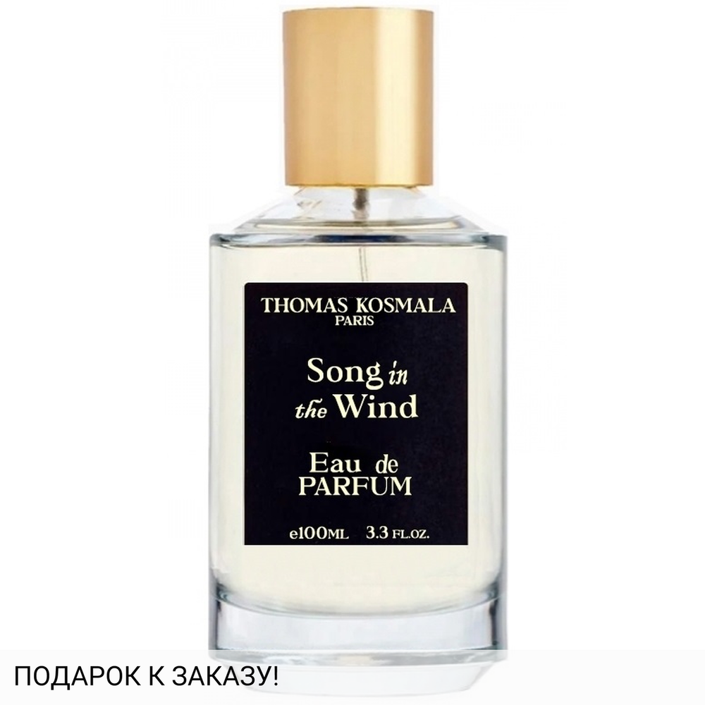 Thomas Kosmala Song In The Wind