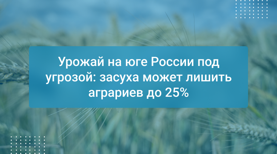 Урожай на юге России под угрозой: засуха может лишить аграриев до 25%