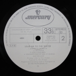 Gary Brooker / Lead Me To The Water (LP)