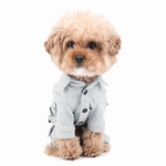 473 Спортивный костюм "Puppy Angel"