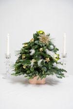 "Зимняя сказка"