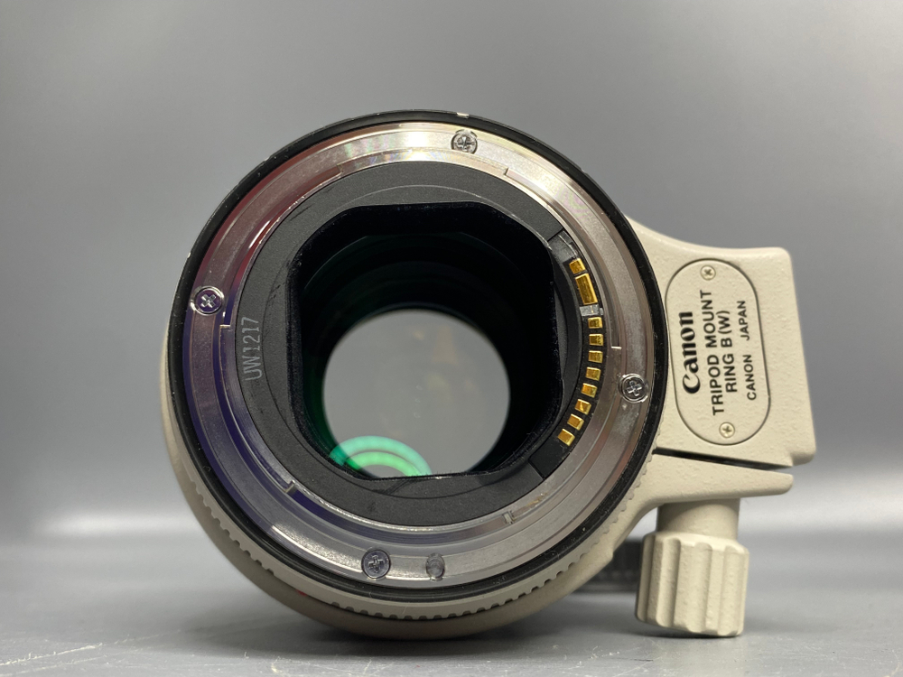 Canon EF 70-200mm f/2.8L USM