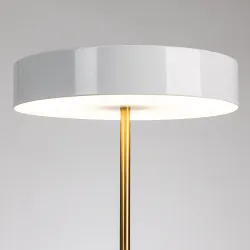 Декоративная настольная лампа Arte Lamp ELNATH