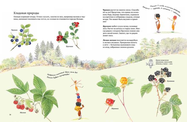 Экспедиция Софи