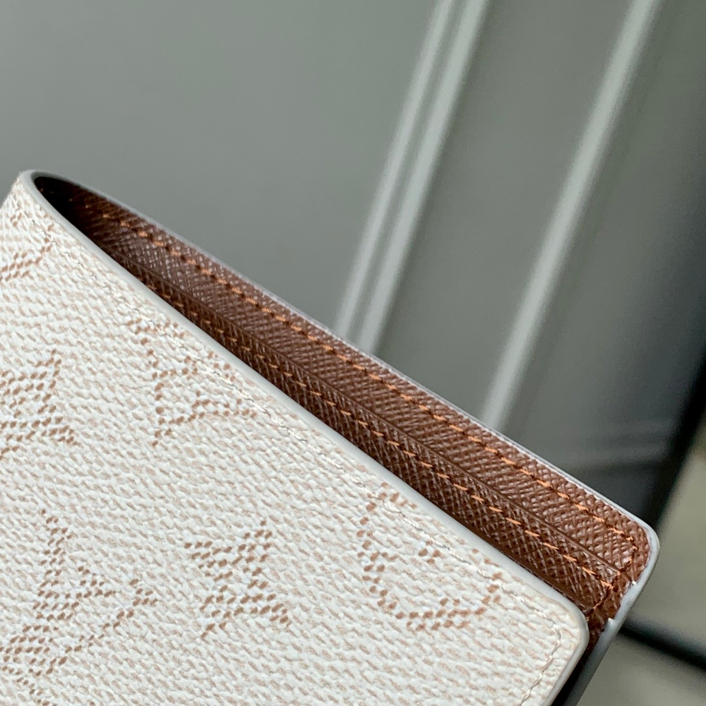 Louis Vuitton Multiple Wallet