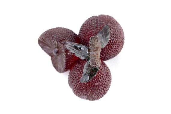 Figurka herbaciana zmieniająca kolor „Yamberi Voskovnitsa red”