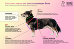 Шлейка Pawmpkin