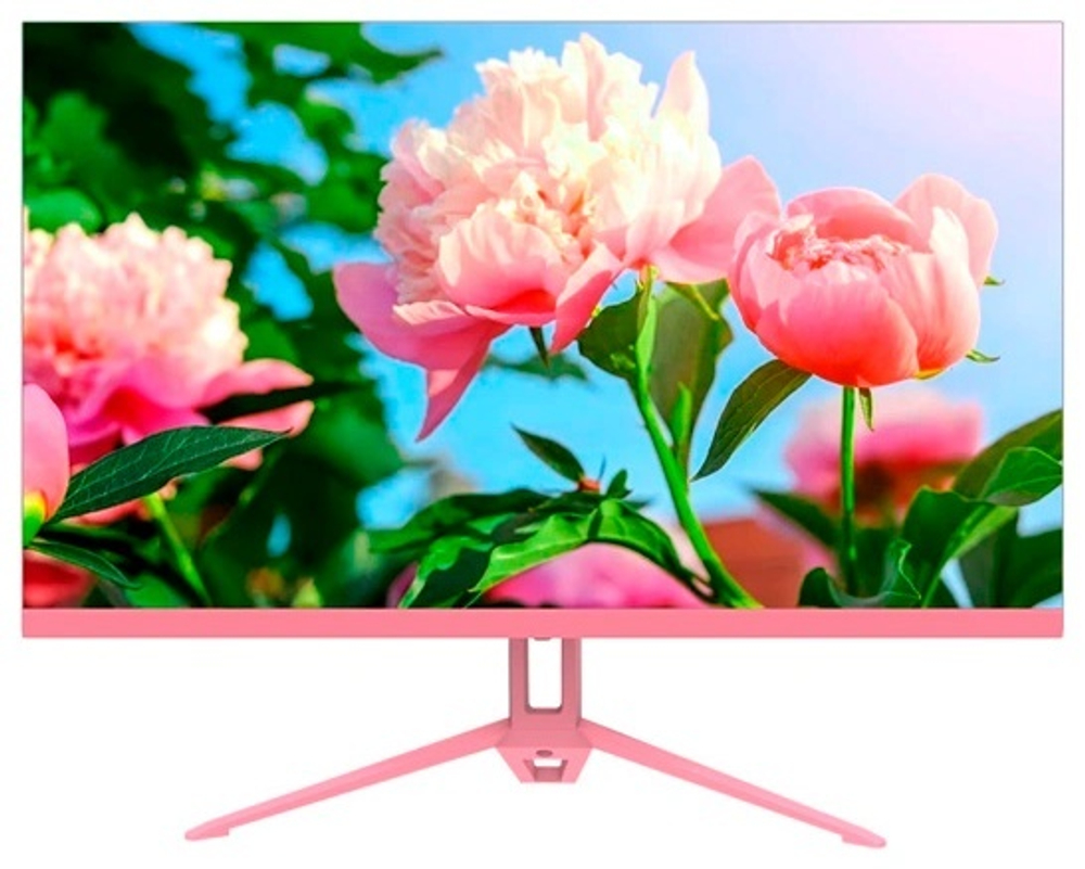 Монитор 23.8" Sanc M2442PH розовый