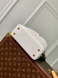 Louis Vuitton Capucines Mini