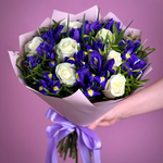 Цветы живые букет из ирисов и белых роз в упаковке с лентой