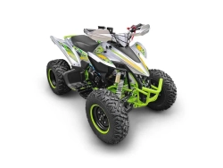 Квадроцикл YACOTA TYPHOON 250