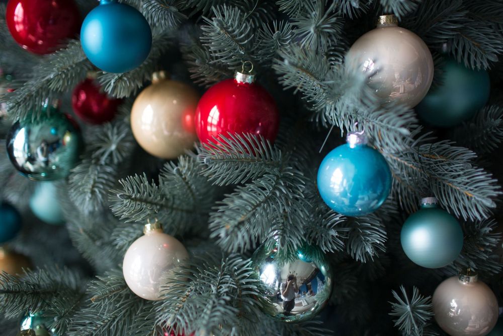 Ель голубая искусственная «Бордо» (Литая хвоя) 240 см / 2.4 м