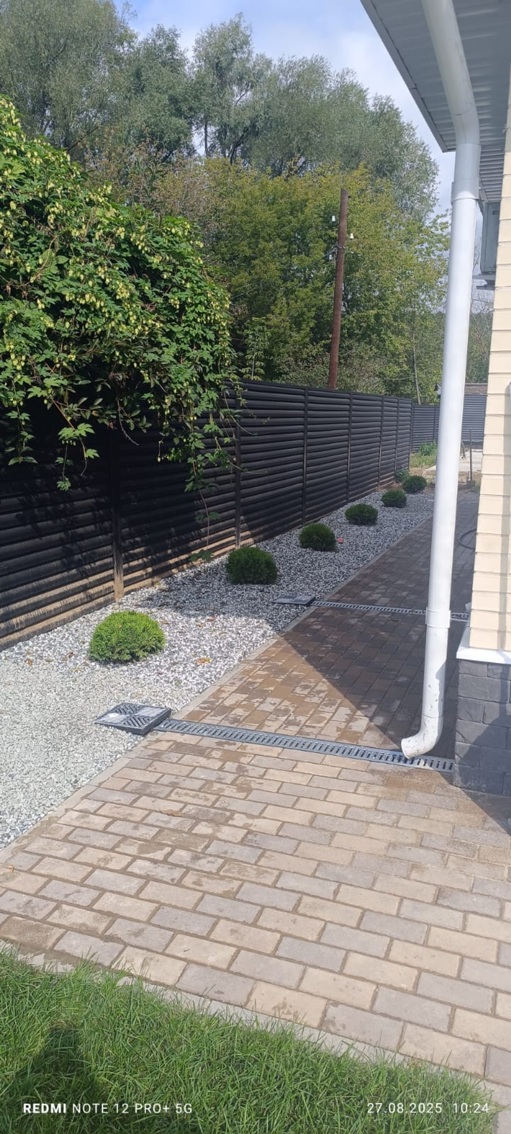 Озеленение территории