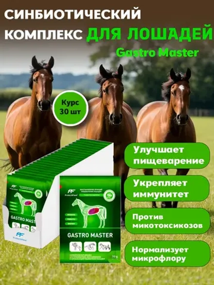Добавка синбиотик для лошадей Гастро Мастер