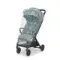 Прогулочная коляска Inglesina Quid 3 Galaxy Grey