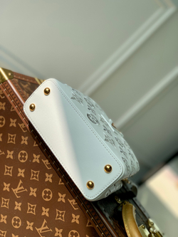 Louis Vuitton Capucines Mini