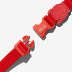 Ошейник NEOPRO CORAL Zee.Dog