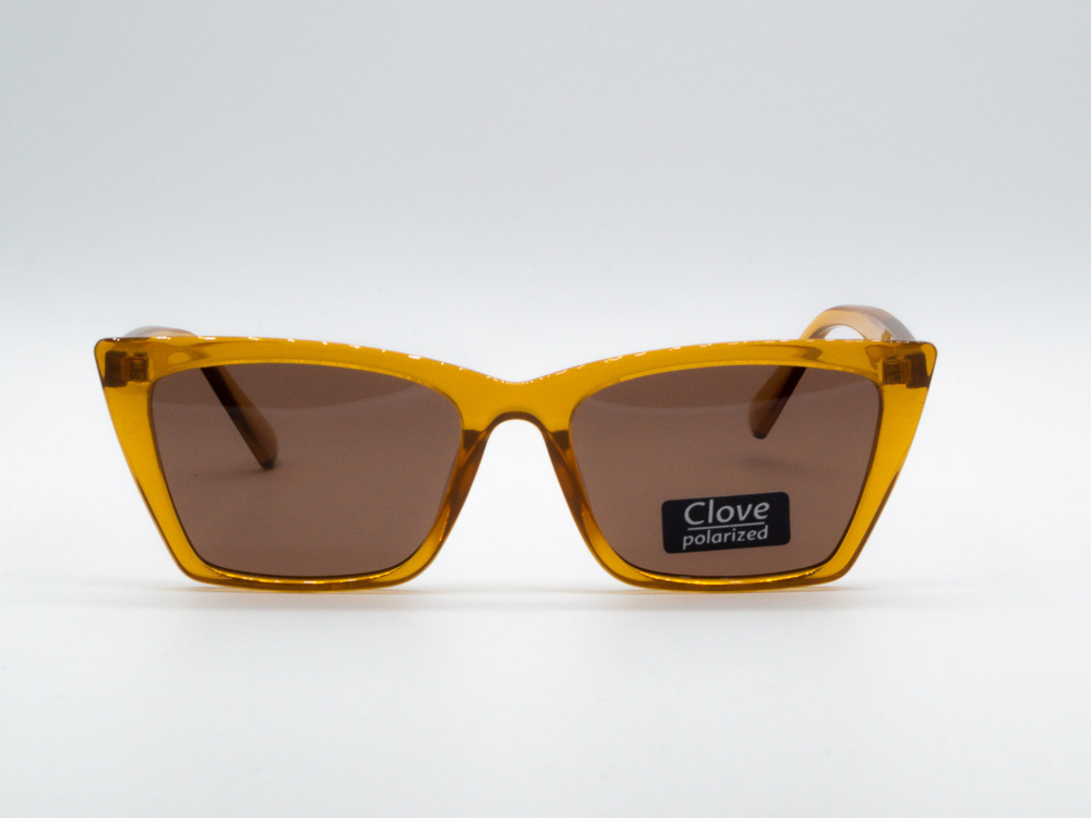 Изг. оправы Clove CV52104 Brown