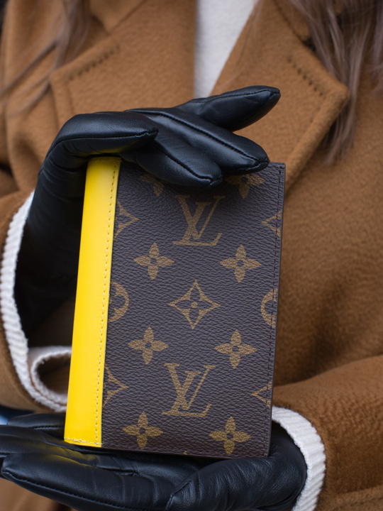 Louis Vuitton Обложка для паспорта