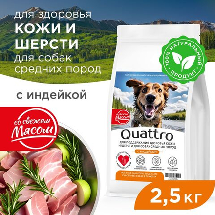 Корм сухой для взрослых собак средних пород, премиум полнорационный комплекс, здоровье кожи и шерсти, с индейкой, 2,5 кг, QUATTRO