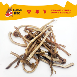 Лакомства для собак Сытый пёс / Трахея утиная / 50 грамм