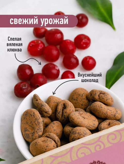 Клюква вяленая в темном шоколаде / 150 г / дой-пак / ТМ Сибирский кедр