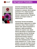Петуния грандифлора Дэдди F1 Шугар