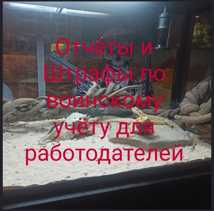 Воинский учет для вашей фирмы