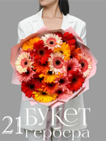 Букет из 21 герберы в,  дизайнерском оформлении, на стеблях, высота 45см