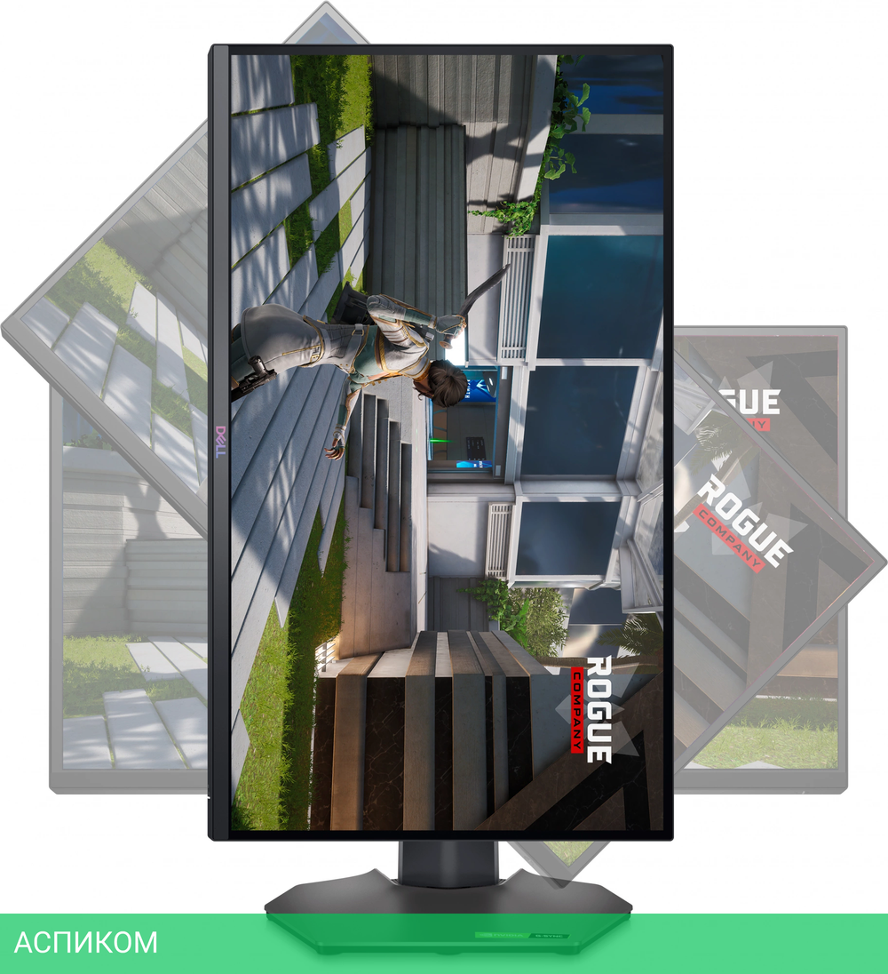 Монитор Dell G2524H черный