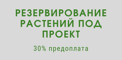 Подробнее