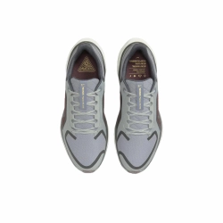 Мужские кроссовки Nike Air Zoom Pegasus 41 Gore-Tex 'Light Pumice Ashen Slate Burgundy' FQ1356-003