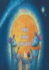 Pendir Hardan Uçub Gəlir?